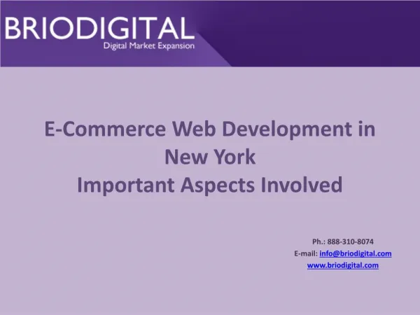 E-Commerce Web Development in New York Important Aspects