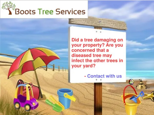 Boots Tree Services