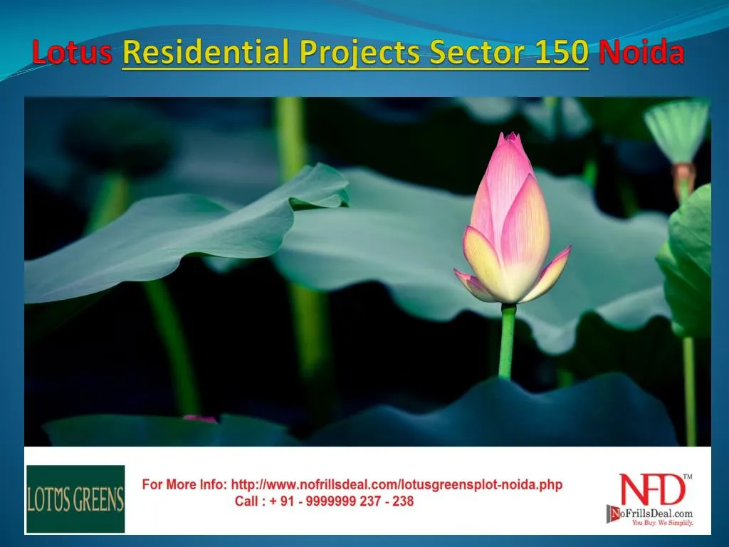 lotus residential projects sector 150 noida