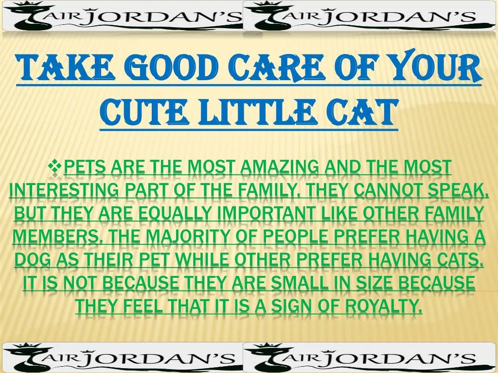 take good care of your cute little cat