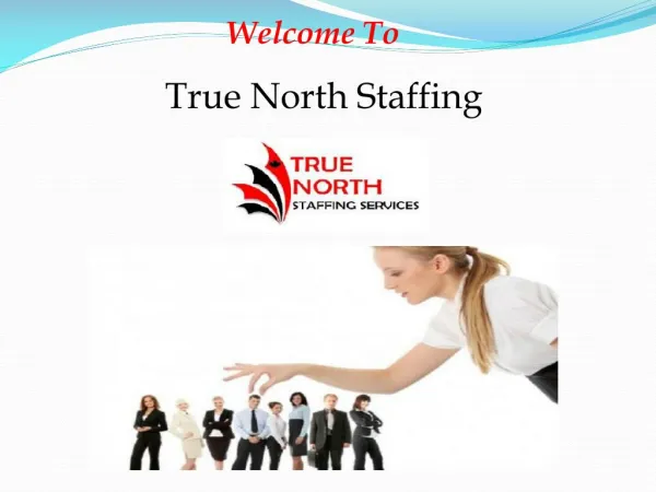 Reliable Staffing Services in Toronto, Cannda