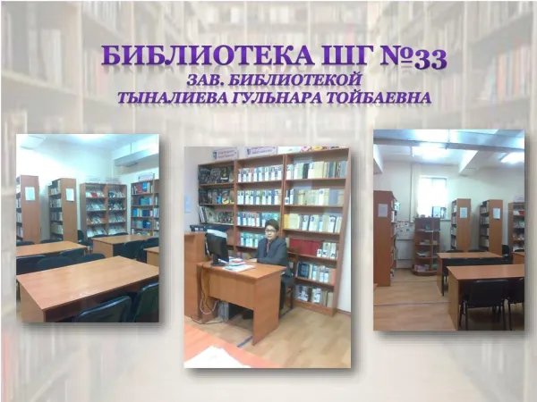 Библиотека ШГ №33