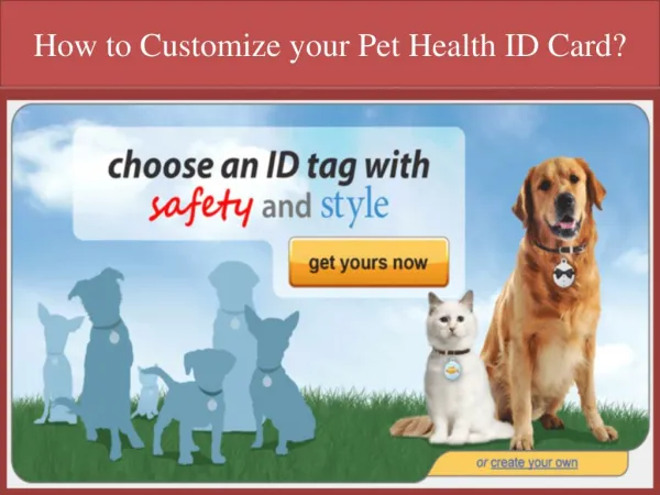 How to Customize your Pet Health ID Card?