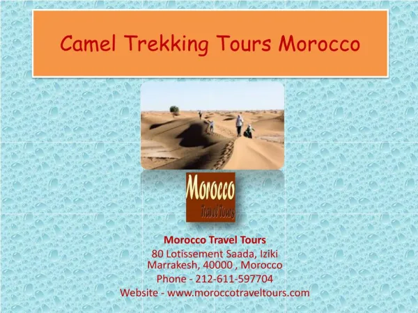 Camel Trekking Tours Morocco