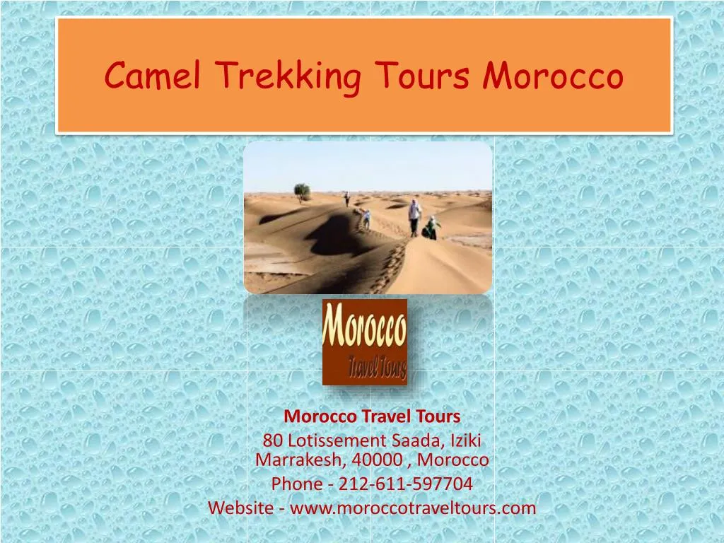 camel trekking tours morocco