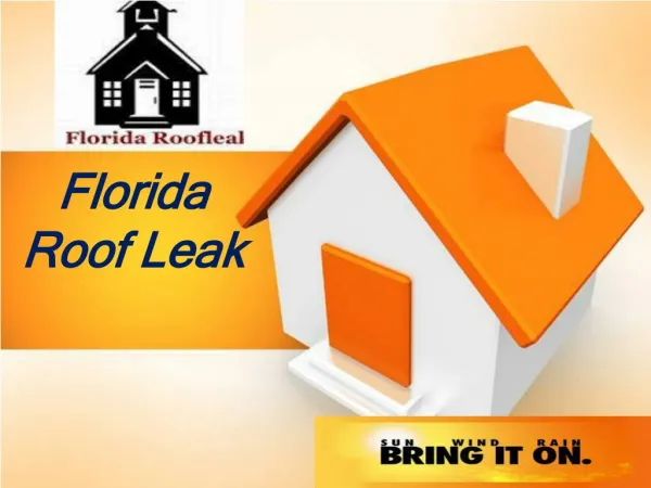 Roof Leak in Florida