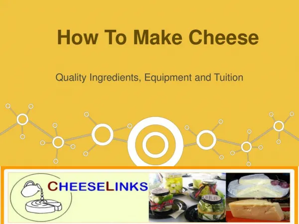 Learn about the Ingredients to make own cheese