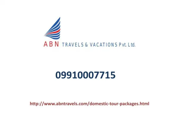 Domestic Tour Operators In Noida