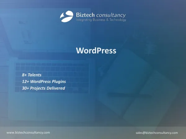 WordPress Brochure - Biztech Consultancy