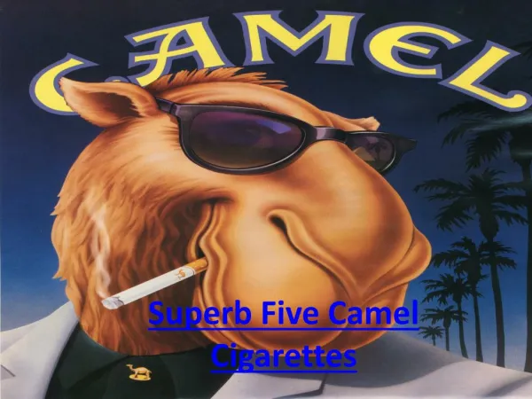 Superb Five Camel Cigarettes