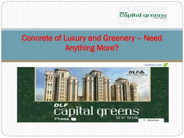 Concrete of Luxury and Greenery – Need Anything More?