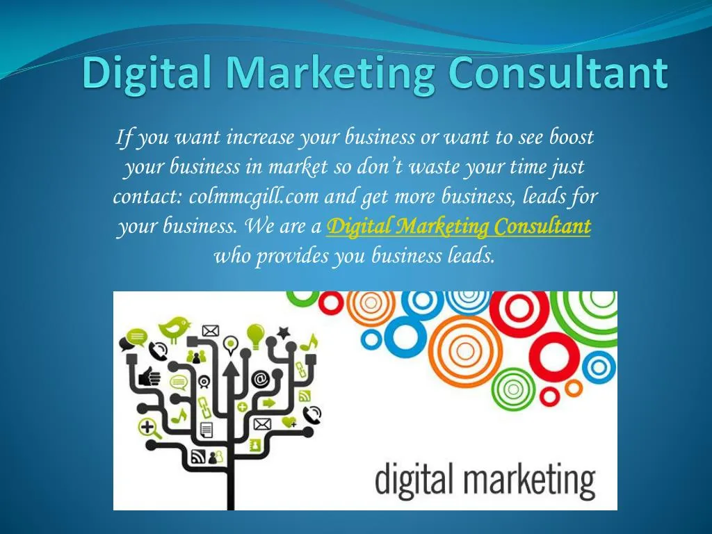 digital marketing consultant