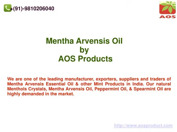 Mentha Arvensis Oil, Mentha Arvensis Oil Essential Products