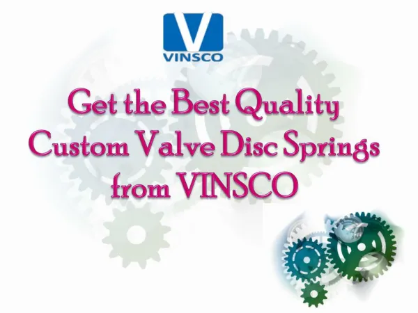 Get the Best Quality Custom Valve Disc Springs from VINSCO