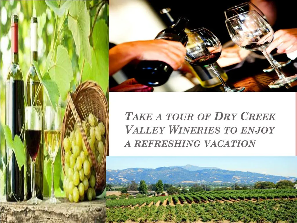 take a tour of dry creek valley wineries to enjoy a refreshing vacation