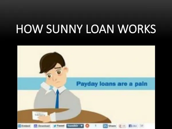 How Sunny Loan Works