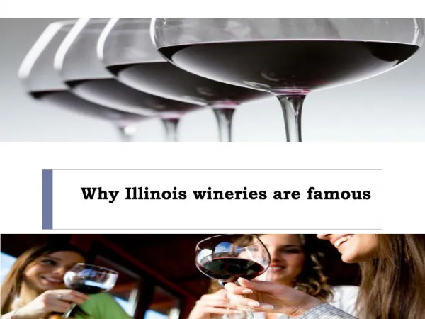 Why Illinois wineries are famous