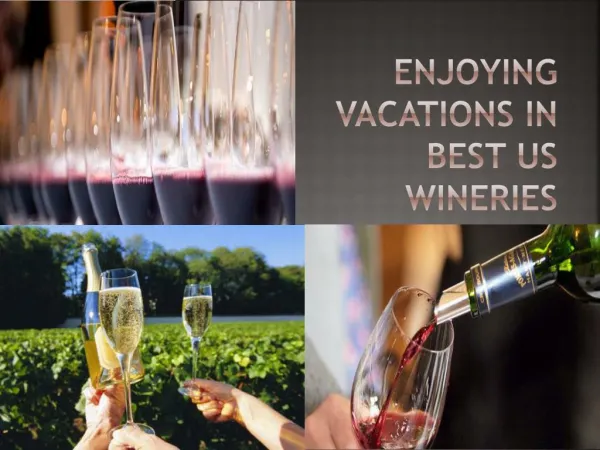 Enjoying vacations in best US wineries