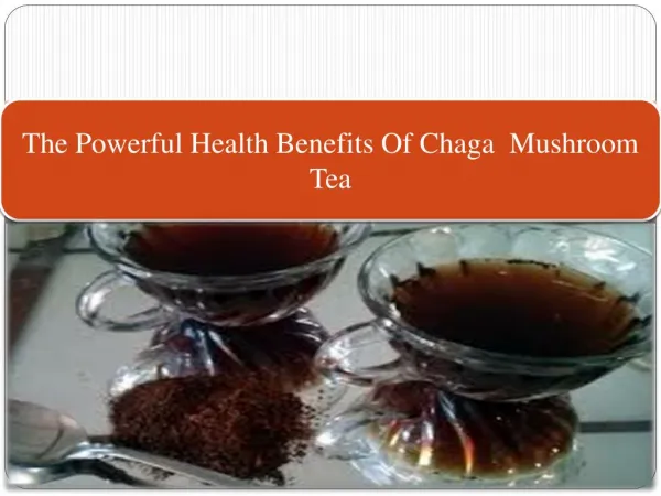 The Powerful Health Benefits Of Chaga Mushroom Tea