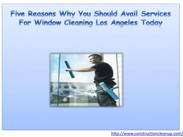 Five Reasons Why You Should Avail Services For Window Cleani