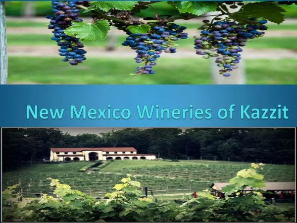 New Mexico Wineries of Kazzit