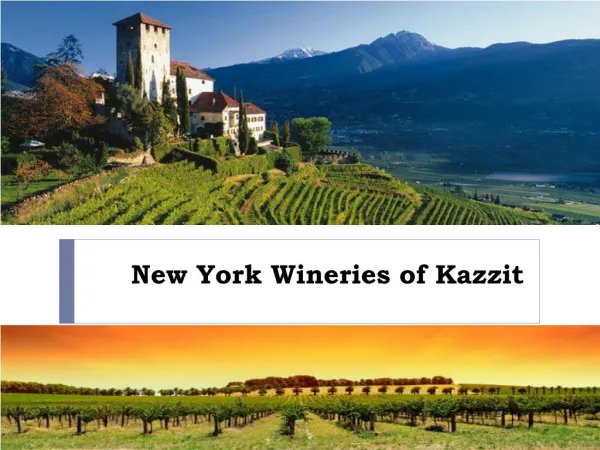 New York Wineries of Kazzit
