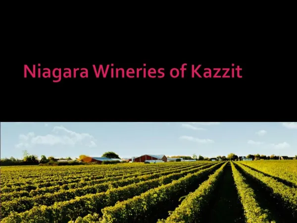Niagara Wineries of Kazzit