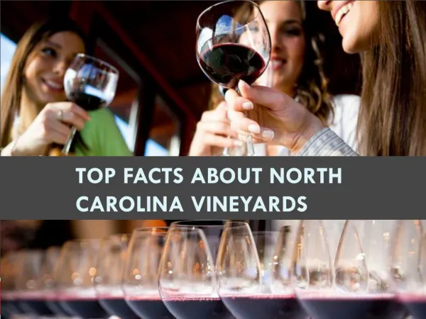 Top Facts about North Carolina Vineyards