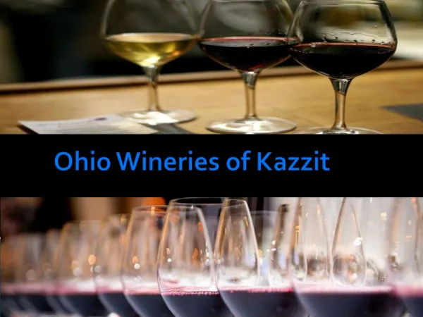 Ohio Wineries of Kazzit