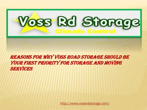 Reasons for Why Voss Road Storage Should Be Your First Prior