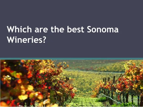Which are the best Sonoma Wineries