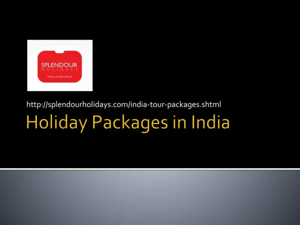 Holiday Packages in India