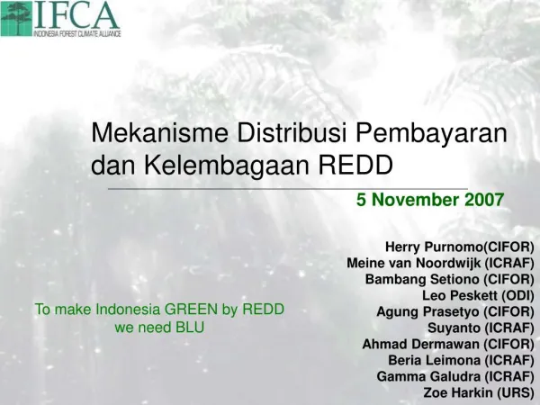 REDD in Indonesia