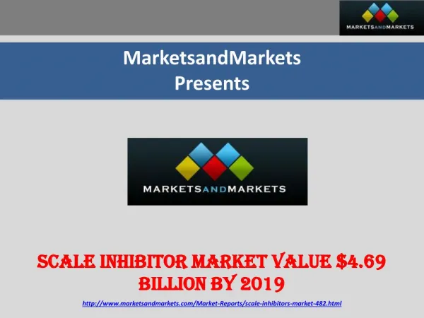 Scale Inhibitor Market worth $4.69 Billion by 2019