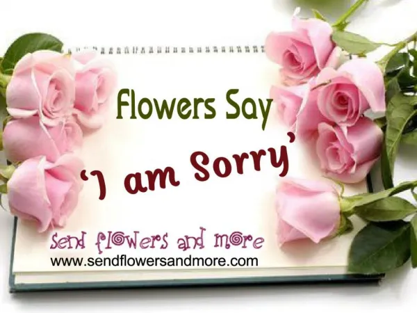 Buy Online Sorry Flower Bouquet