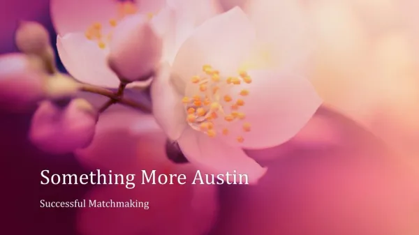 Something More Austin : Matchmaking Institute