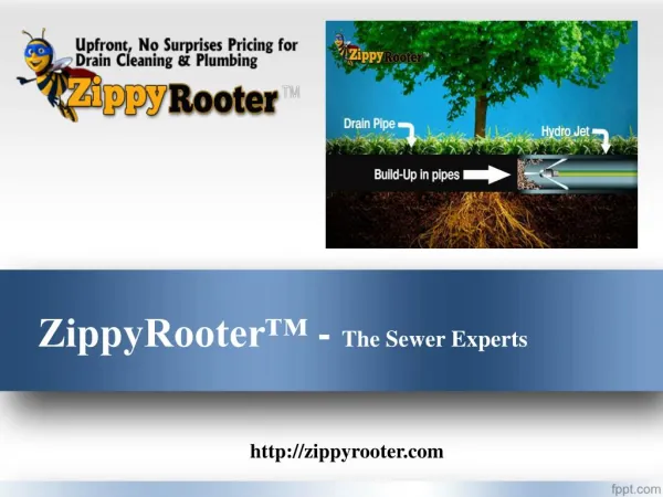 Trenchless Sewer Repair Costs | 800-699-8127 | ZippyRooter