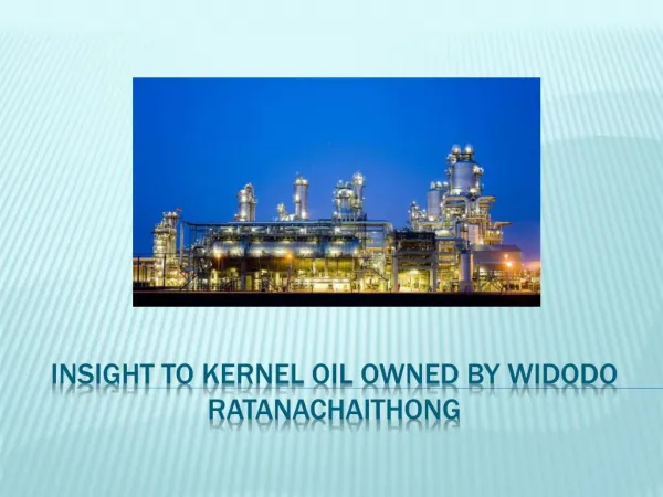 Insight to Kernel Oil owned by widodo ratanachaithong