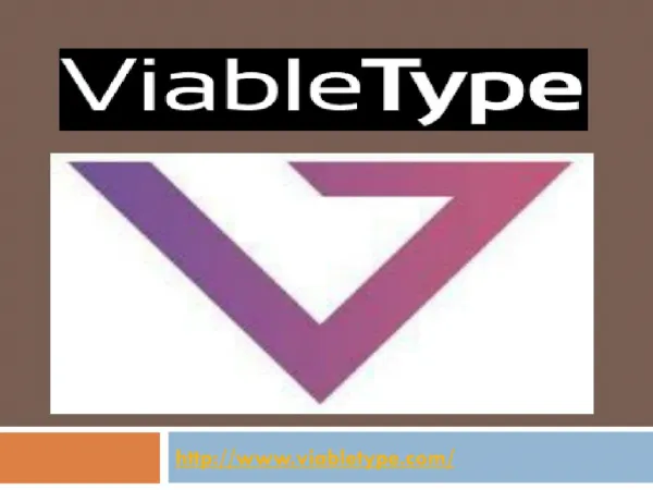 Web Development Company Minneapolis- Viable type