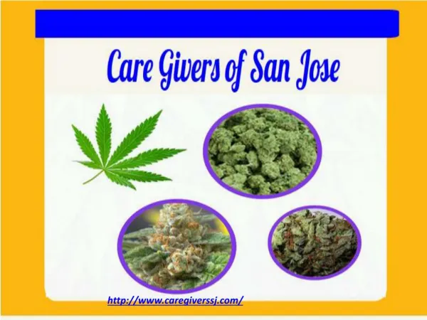 Marijuana Delivery San Jose - Care Givers of San Jose