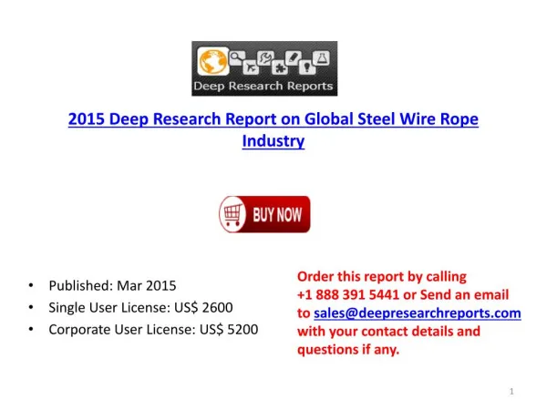 Global Steel Wire Rope industry Competitive Landscape Overvi