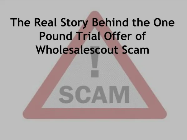 The Real Story Behind the One Pound Trial Offer of Wholesale