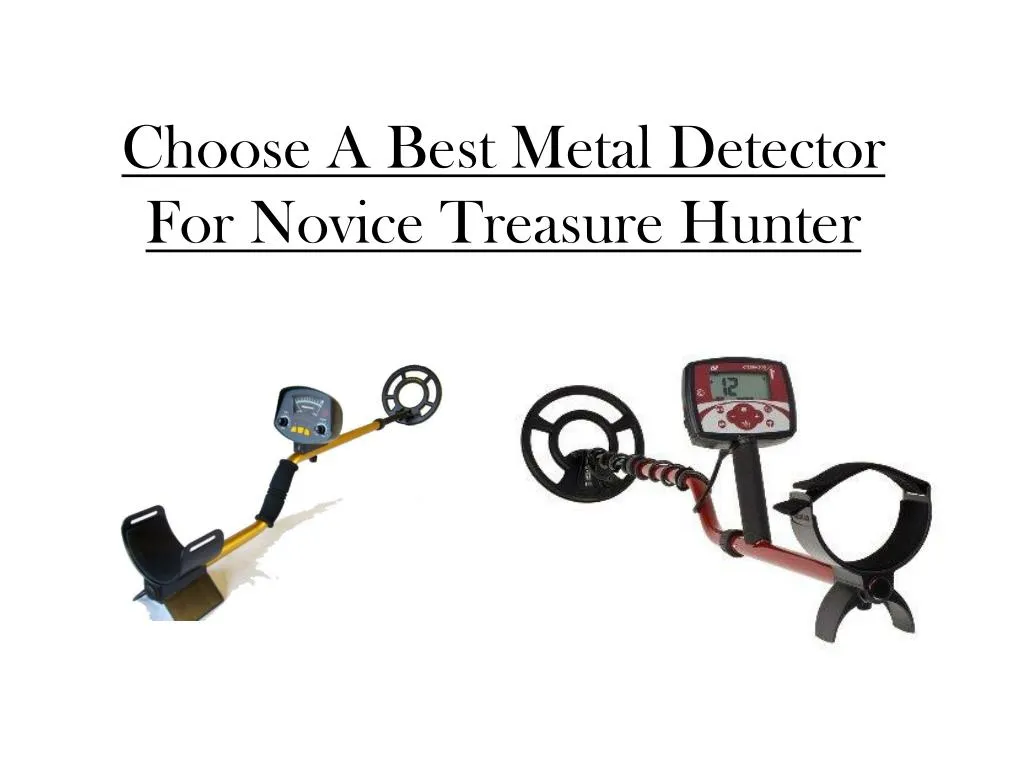 choose a best metal detector for novice treasure hunter