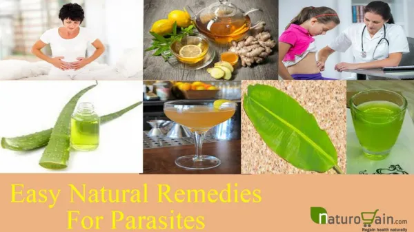 Easy Natural Remedies For Parasites To Give Fast Relief