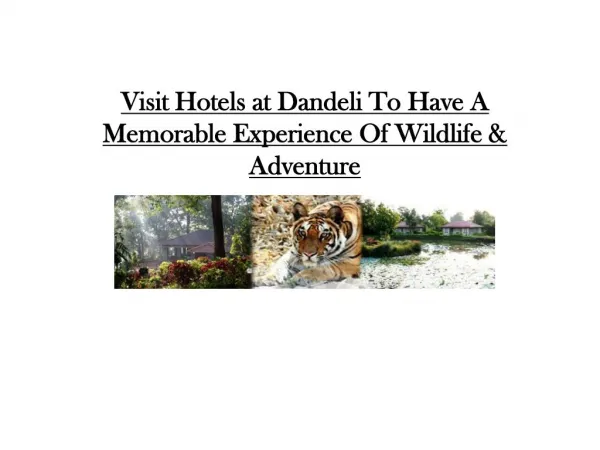 Visit Hotels at Dandeli & Have A Memorable Experience