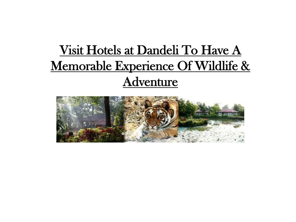 visit hotels at dandeli to have a memorable experience of wildlife adventure