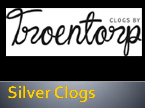 Silver Clogs