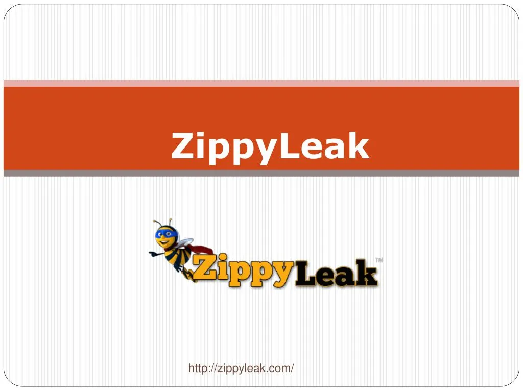 zippyleak