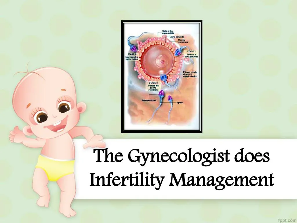 the gynecologist does infertility management
