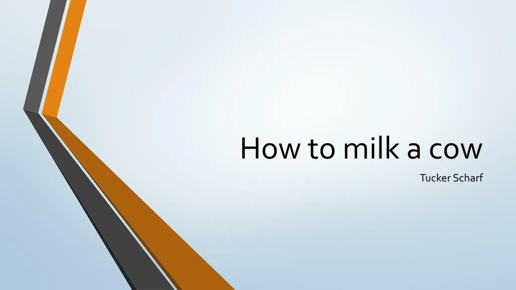 how to milk a cow